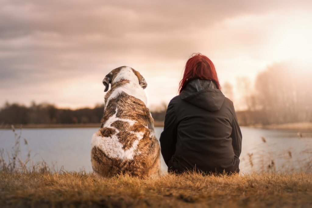Frau Hund Partnerschaft fürs Leben Warum sind Hunde so treu und anhänglich