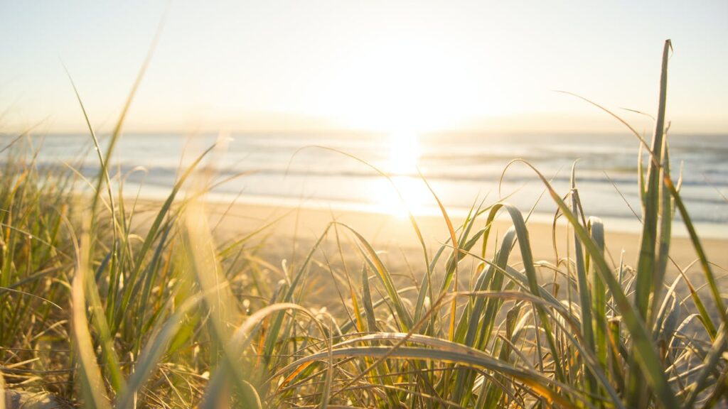 Sommer Sonne Strand Blickdicht und kühlend Der neue Folien-Trend vorgestellt