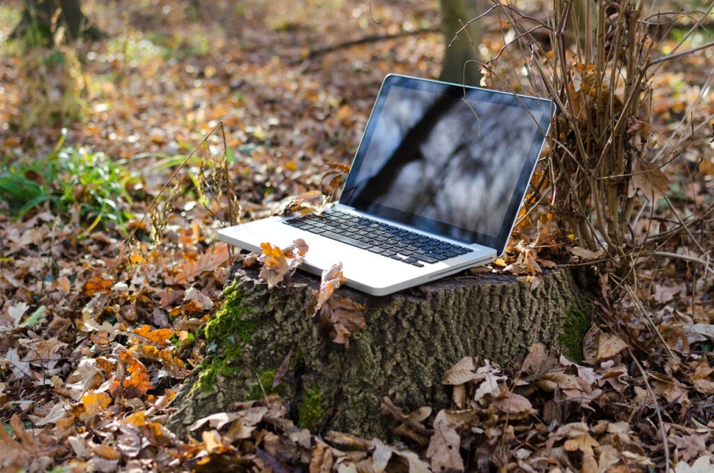 Laptop Natur Wald Wie Outdoor-Freunde sicher im Netz surfen können