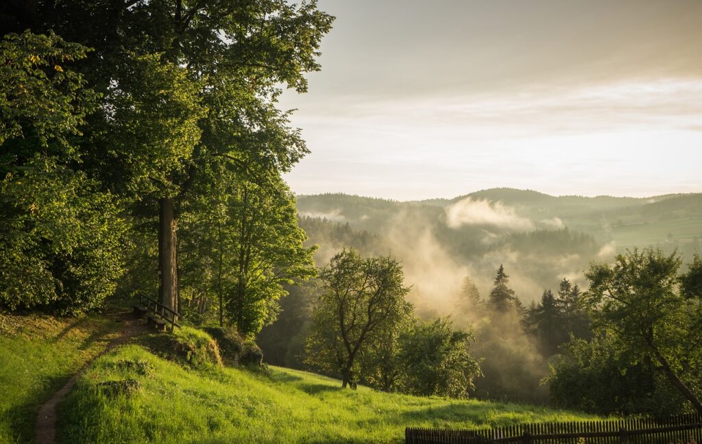 Österreich Natur Berge Wald Nebel Die schönsten Wanderwege in den Bergen Österreichs